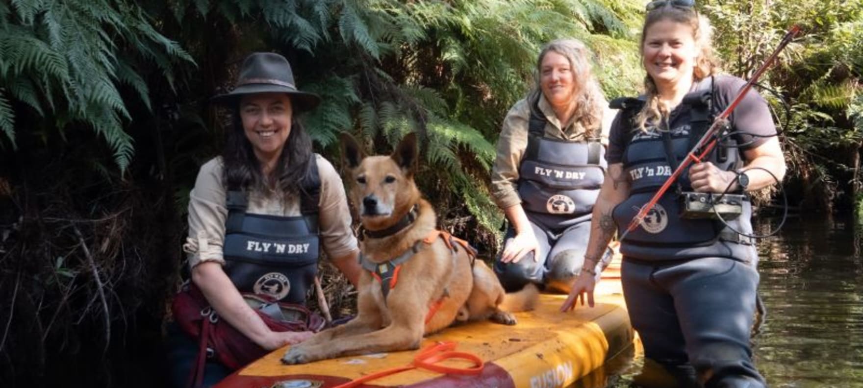 Safe Transport Victoria